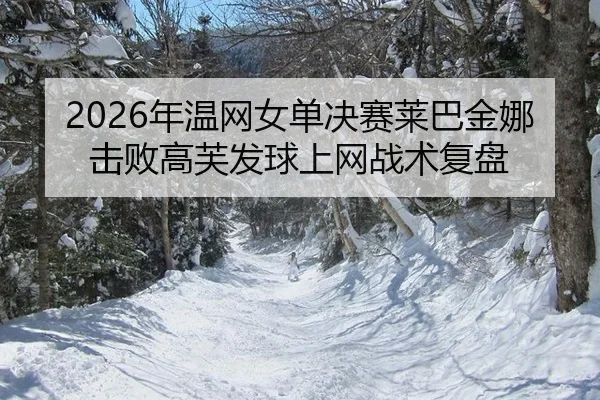 nian-wen-wang-nv-dan-jue-sai-lai-ba-jin-na-ji-bai-gao-fu-fa-qiu-shang-wang-zhan-shu-fu-pan-2-386.jpg
